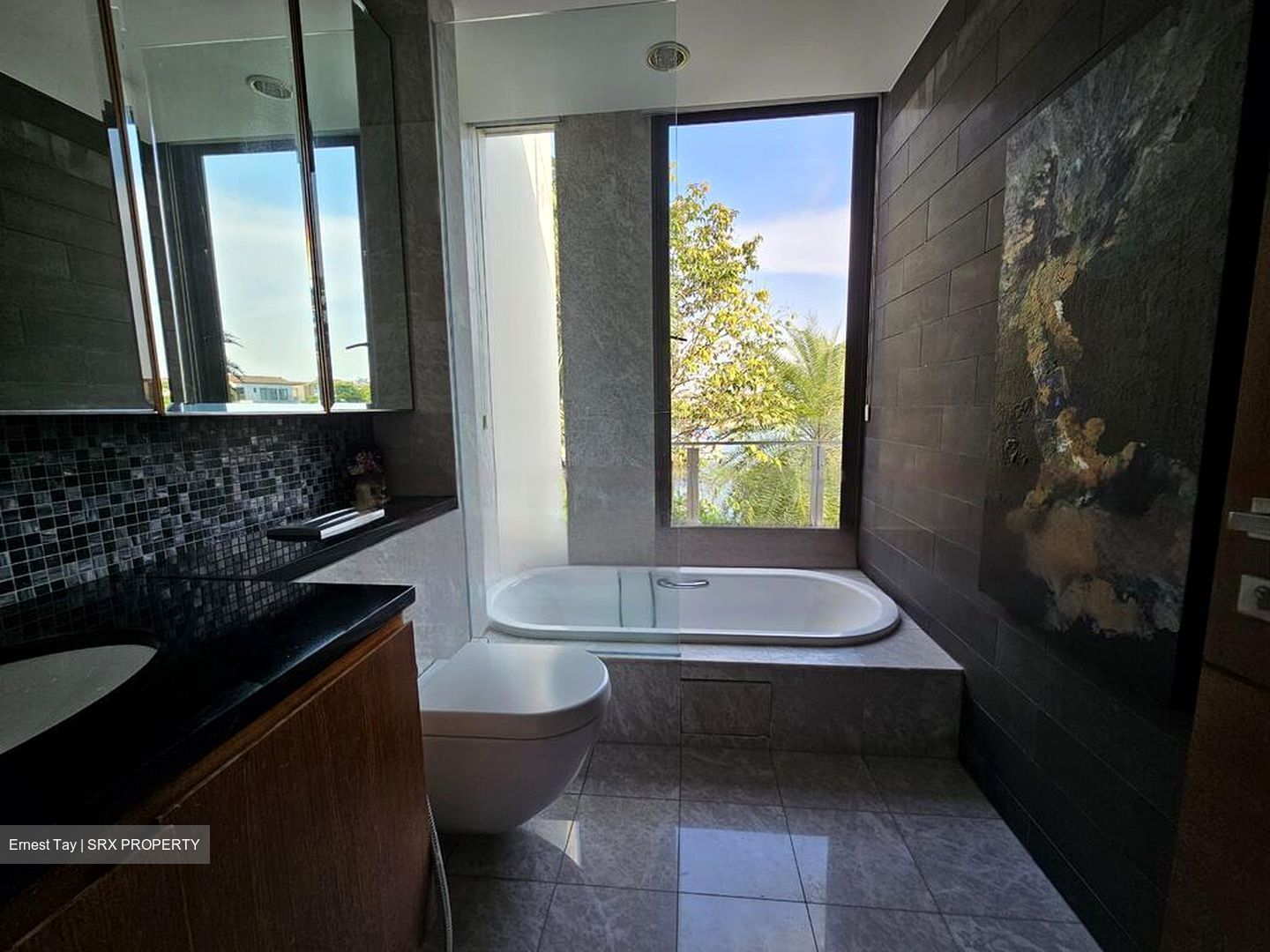Harbourfront Avenue (D4), Detached #549572881
